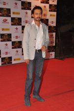 Irrfan Khan at Big Star Awards red carpet in Mumbai on 16th Dec 2012 (158).JPG